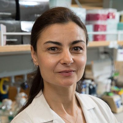 Roxana A. Radu