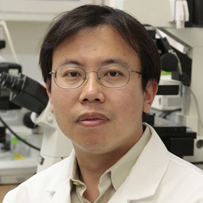 Hui Sun