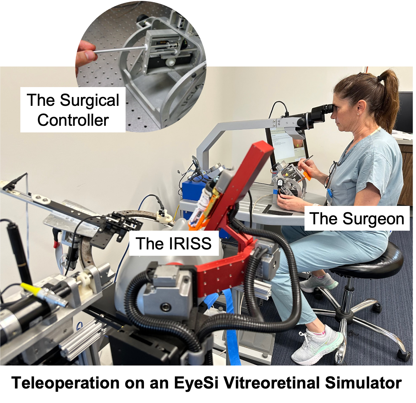 Surgical Robot